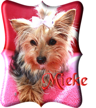 Mieke
