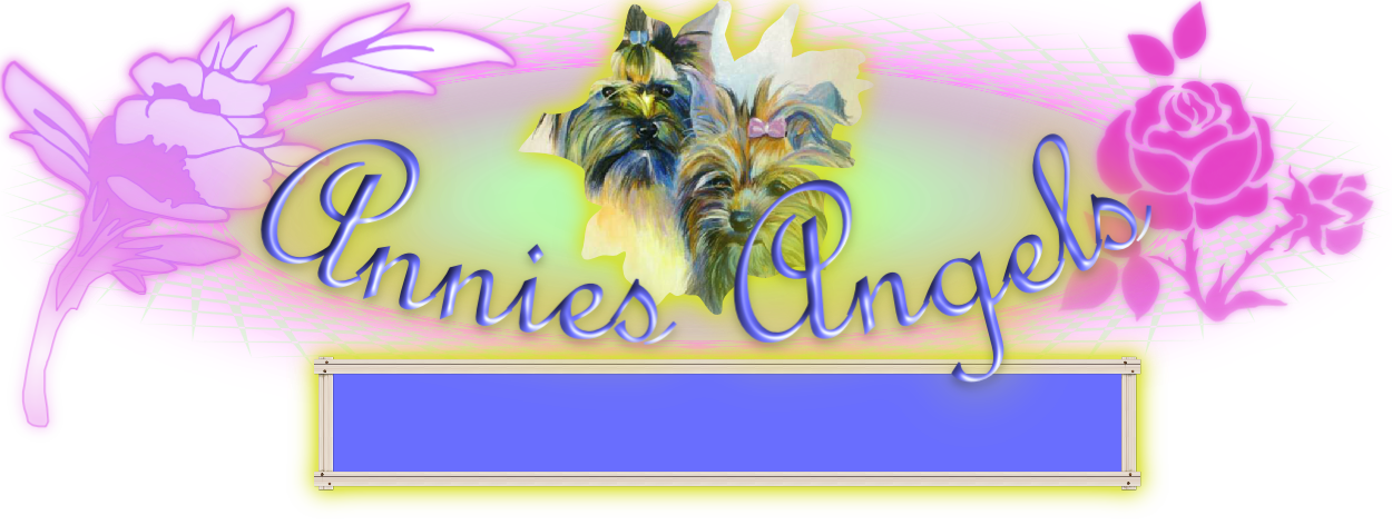 Annies Angels