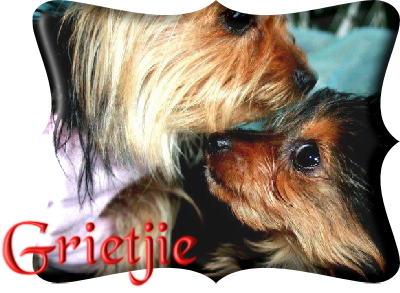 Grietjie