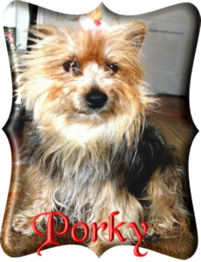 Porky