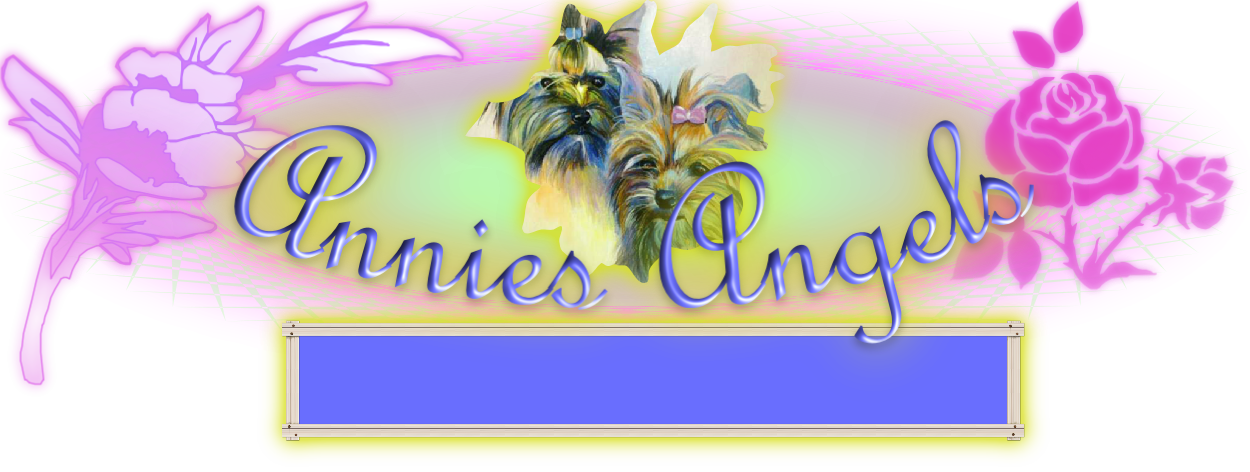 Annies Angels

