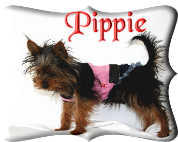 Pippie